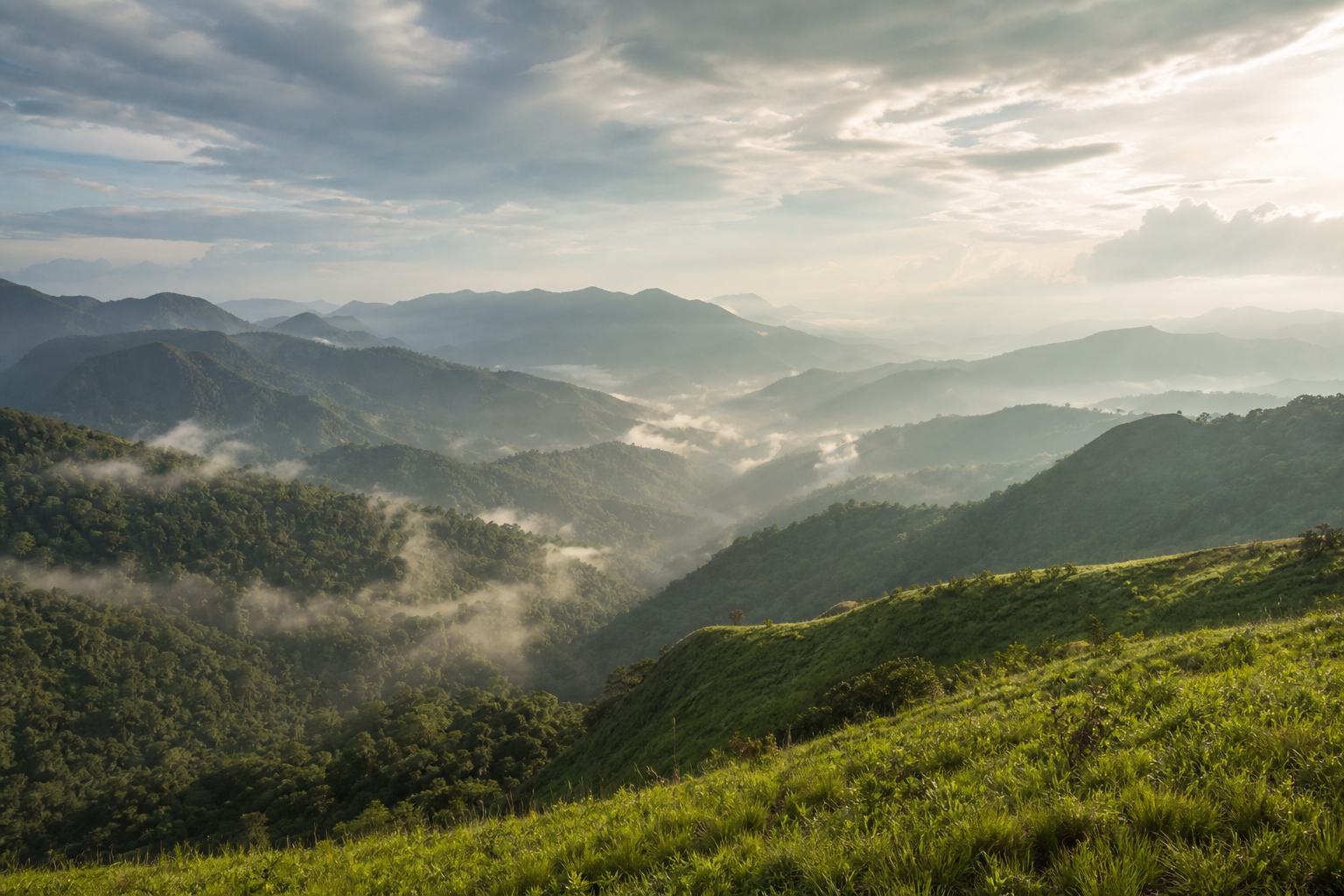 Lush green mountain valley with mist — natural landscape, no people