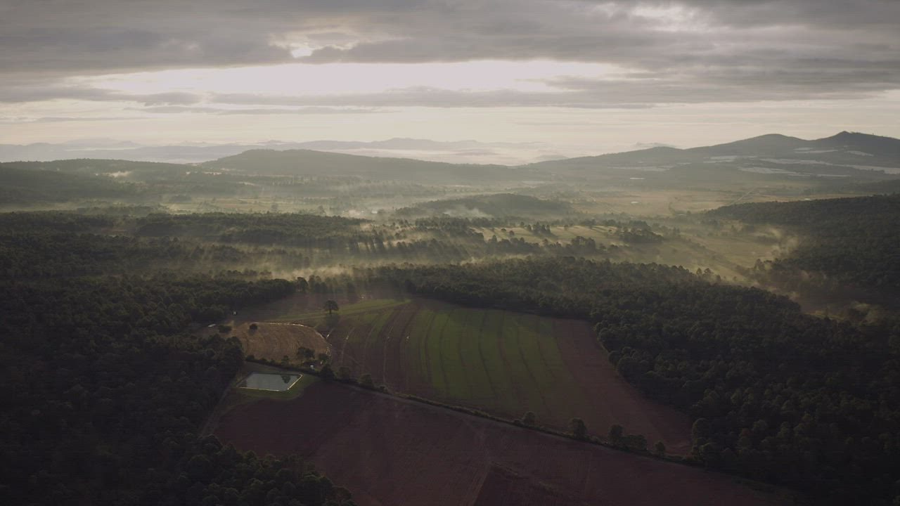 Mist over farmland and forested hills